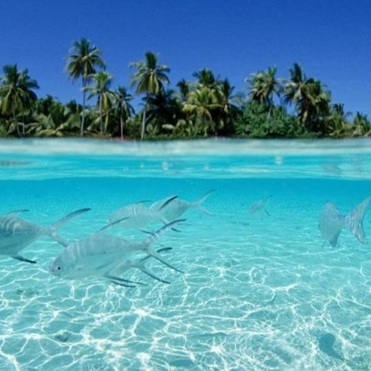 فندق ثولوسدوفي  Ocean Breeze Maldives المظهر الخارجي الصورة