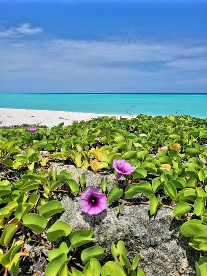 فندق ثولوسدوفي  Ocean Breeze Maldives المظهر الخارجي الصورة
